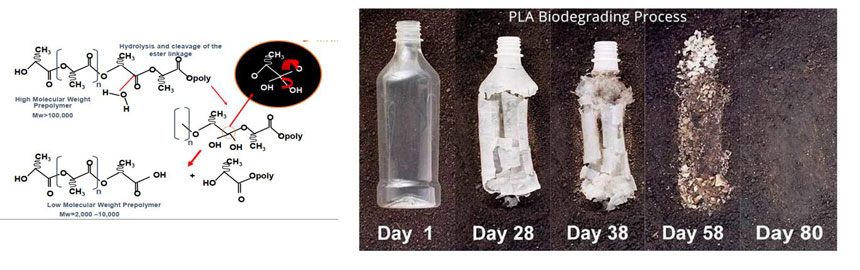 Processo de biodegradação de PLA