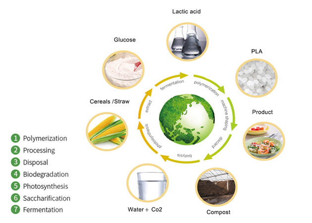 Material de embalagem de alimentos biodegradável - a resina de pellets de PLA tornou-se a nova queridinha da indústria de embalagens de alimentos
